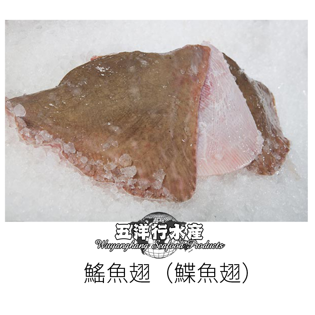 批发美鳐鱼翅 鲽鱼翅