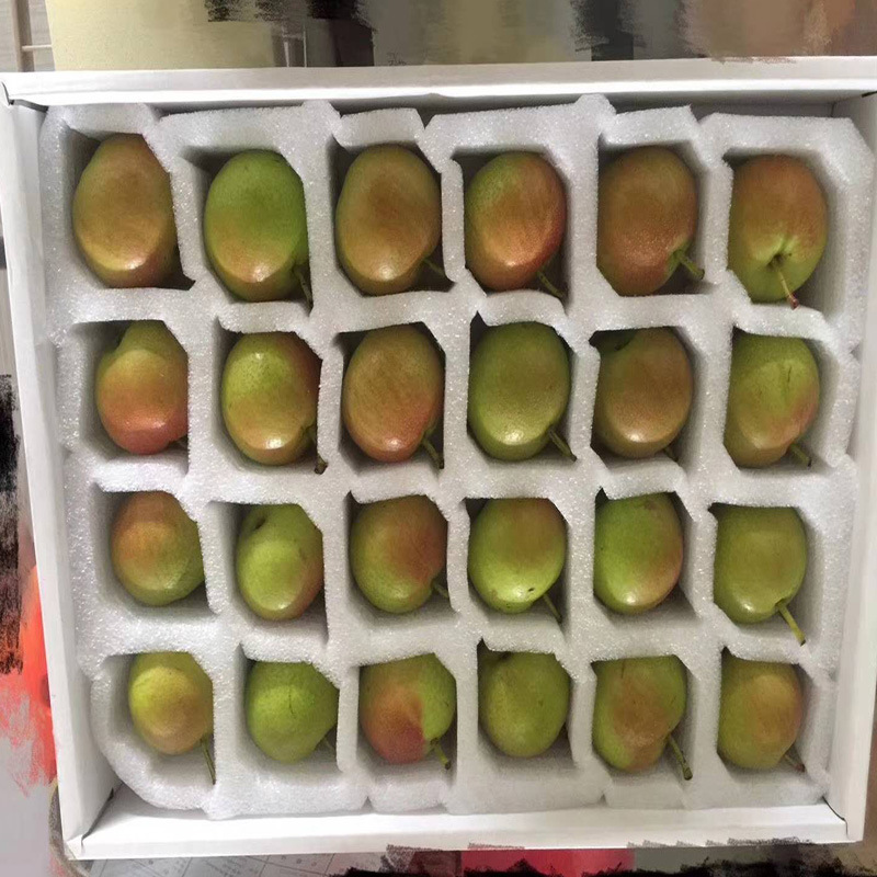 草莓海绵托草莓包装内衬海绵水果海绵快递专用海绵垫片海棉托盘