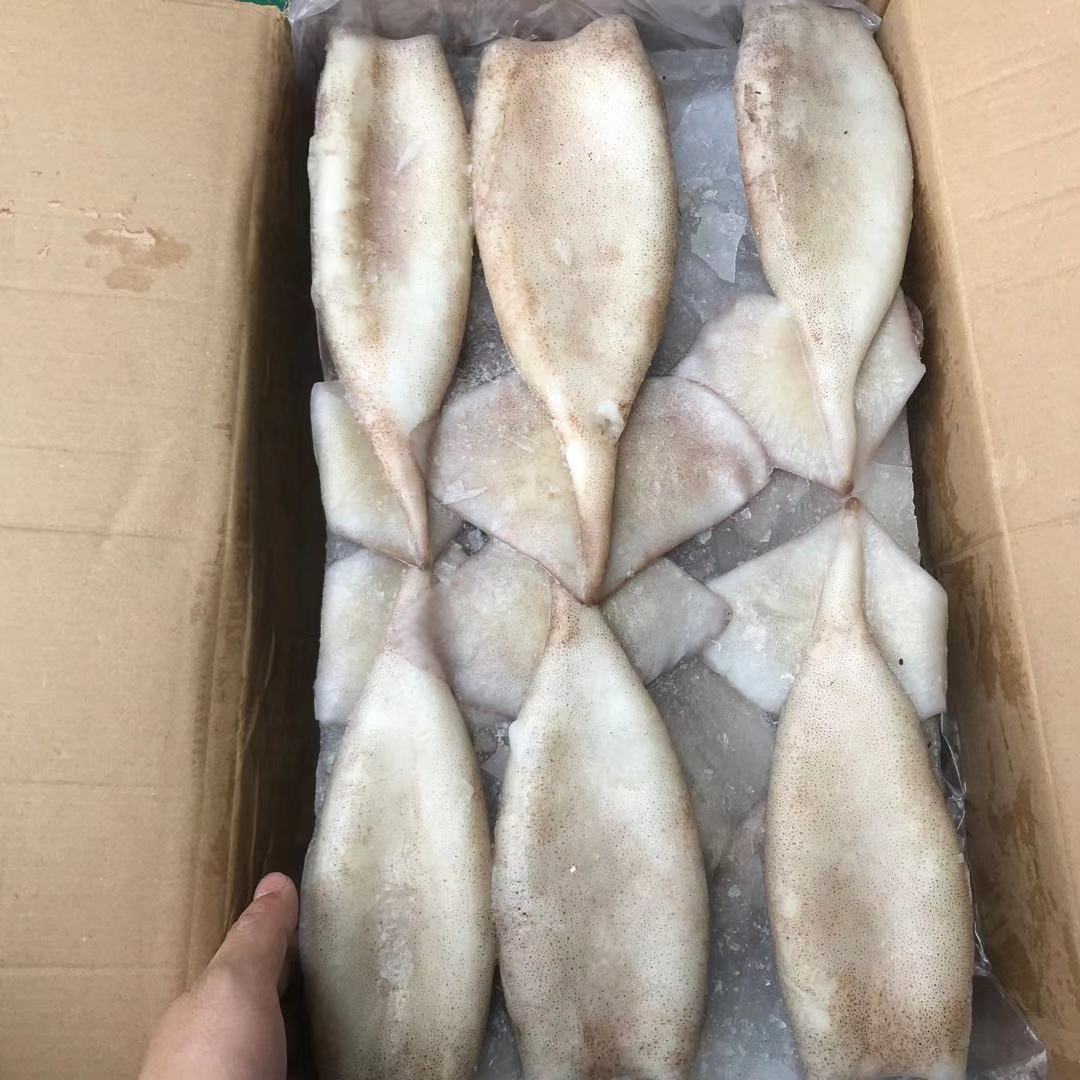 海芝冷冻鱿鱼筒 冰冻带皮无头鱿鱼同 速冻海鲜 自助餐 20斤/件