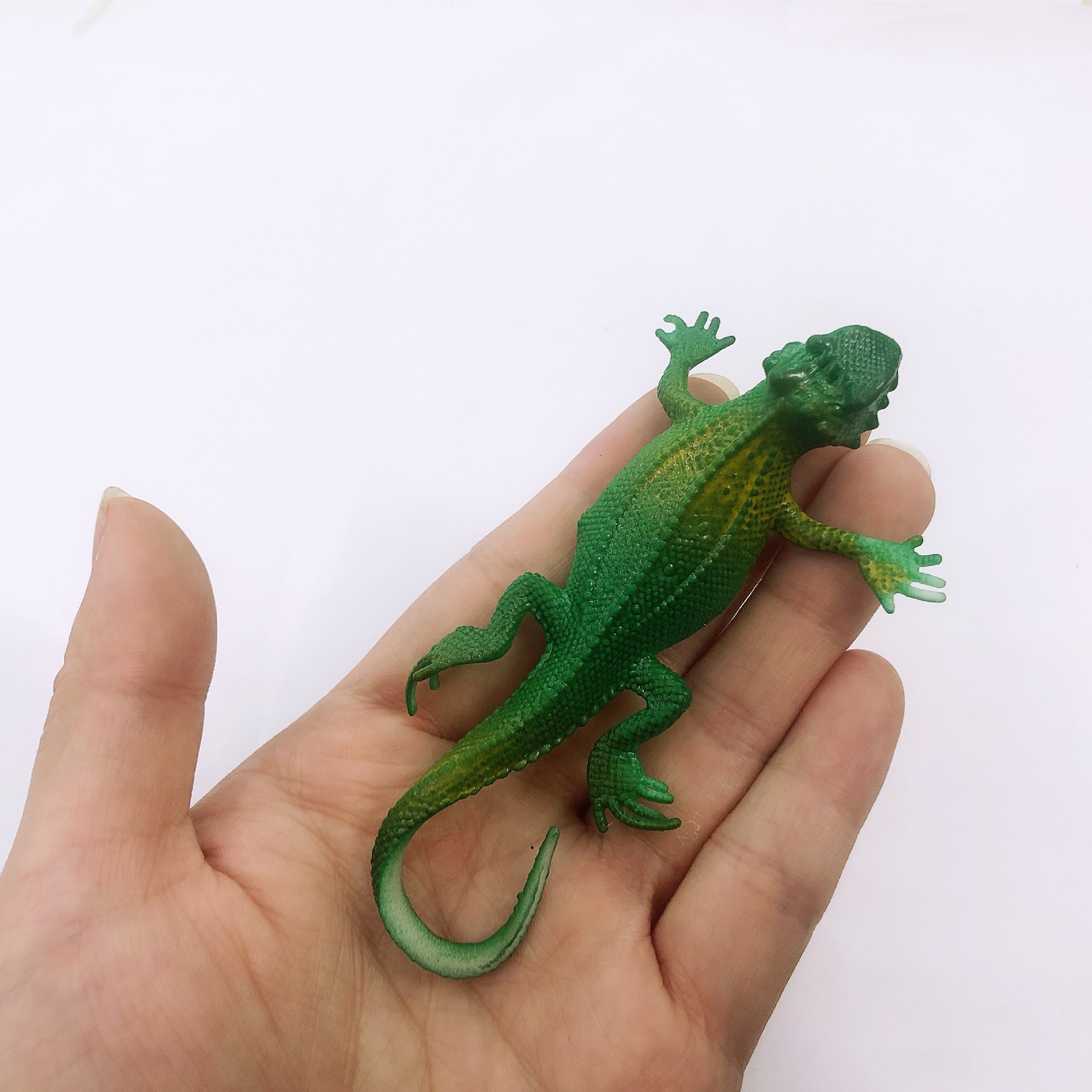 仿真蜥蜴模型 环保软胶tpr 整蛊吓人玩具 拍摄道具 2元店批发