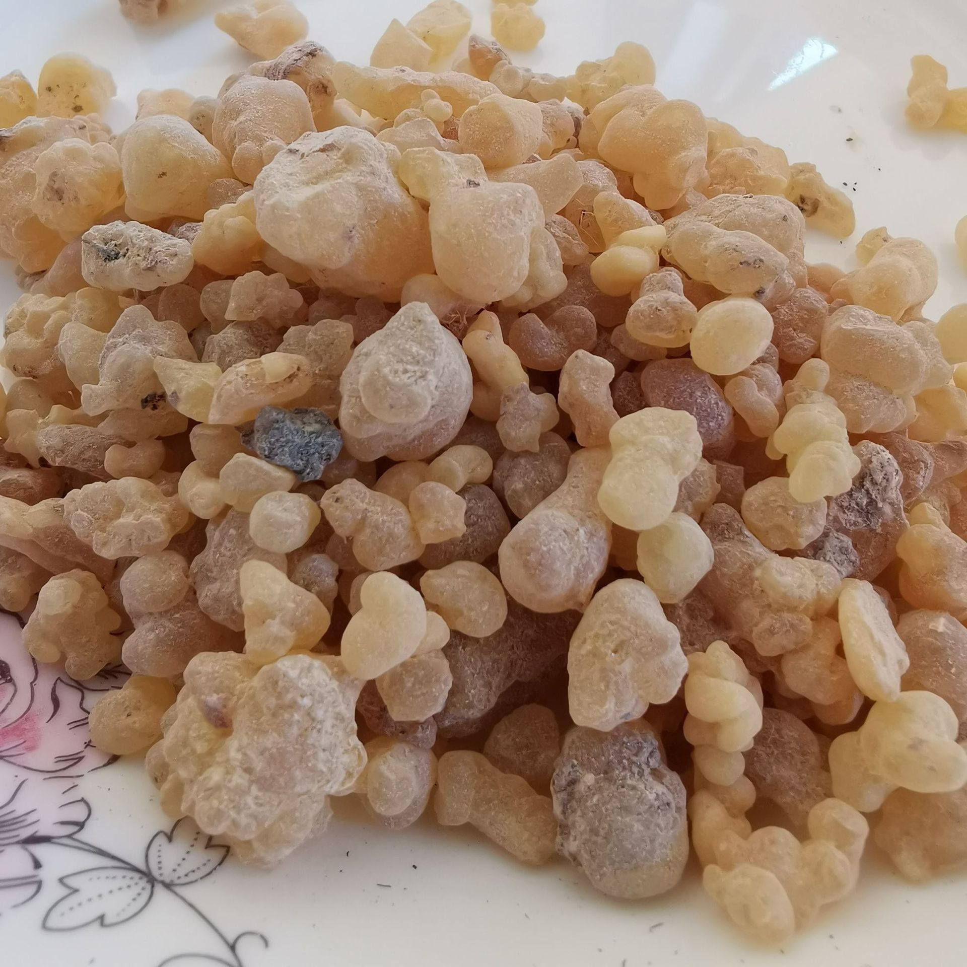 中药材 制乳香炙马尾香乳头香天泽香大粒生乳香珠