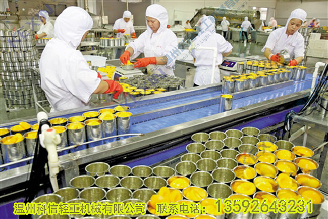 全套水果罐头生产线 小型黄桃罐头加工设备 果蔬罐头制作设备厂家