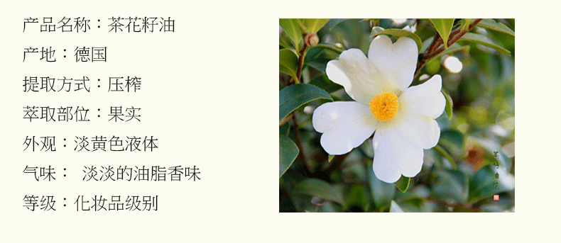山茶花籽油 山茶花油 化妆品级别 护肤护发茶花籽油 手工皂原料