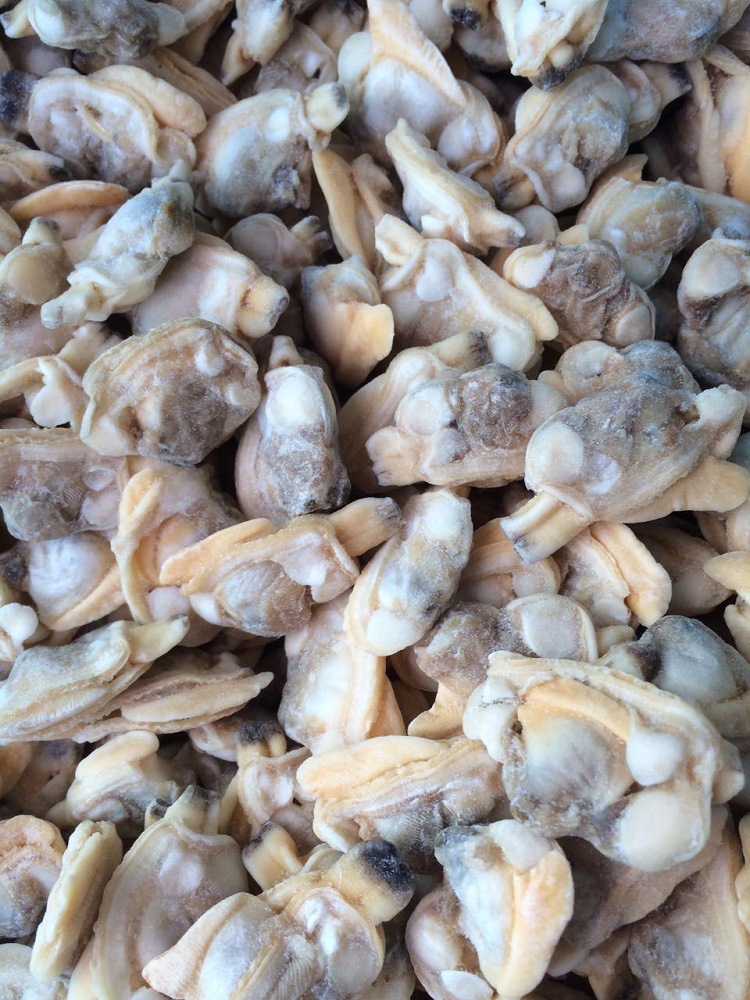 渔之郎冻煮杂色蛤肉 无沙蛤肉蛤蜊肉做麻辣花蛤肉无沙蛤肉 蚬子肉