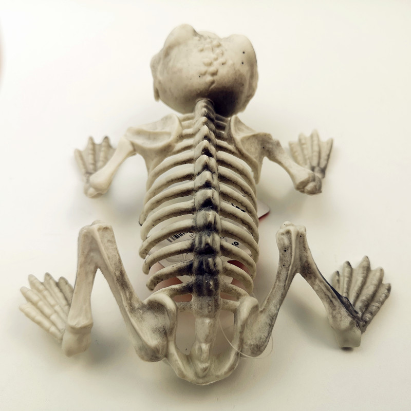 新款万圣节整蛊道具青蛙骨架场地道具恶搞愚人青蛙骨架动物骨架