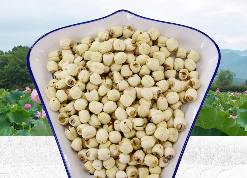 产地供应江西白莲 中药材无硫白莲 大量批发 量大价优 包邮