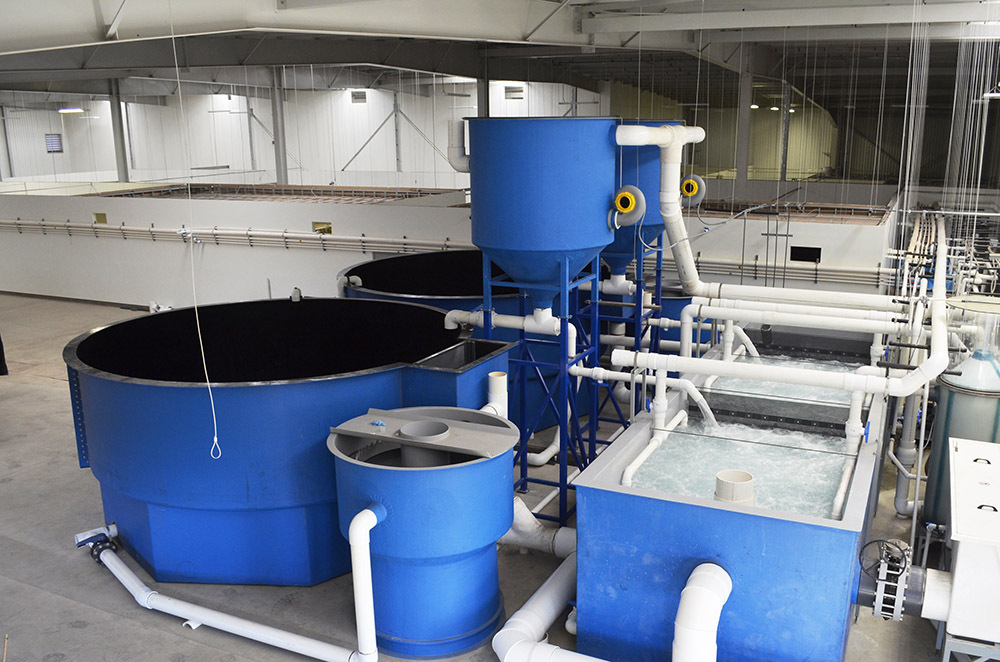 20立方小型ras循环水养殖系统室内吊水实验教学养鱼系统