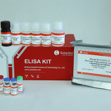 小鼠B细胞趋化因子ELISA试剂盒      SEKM-0051 Elisa  索莱宝