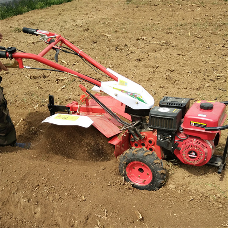 厂家直销农用松土犁地旋耕机 农用旋耕除草机 大棚耕地机图片