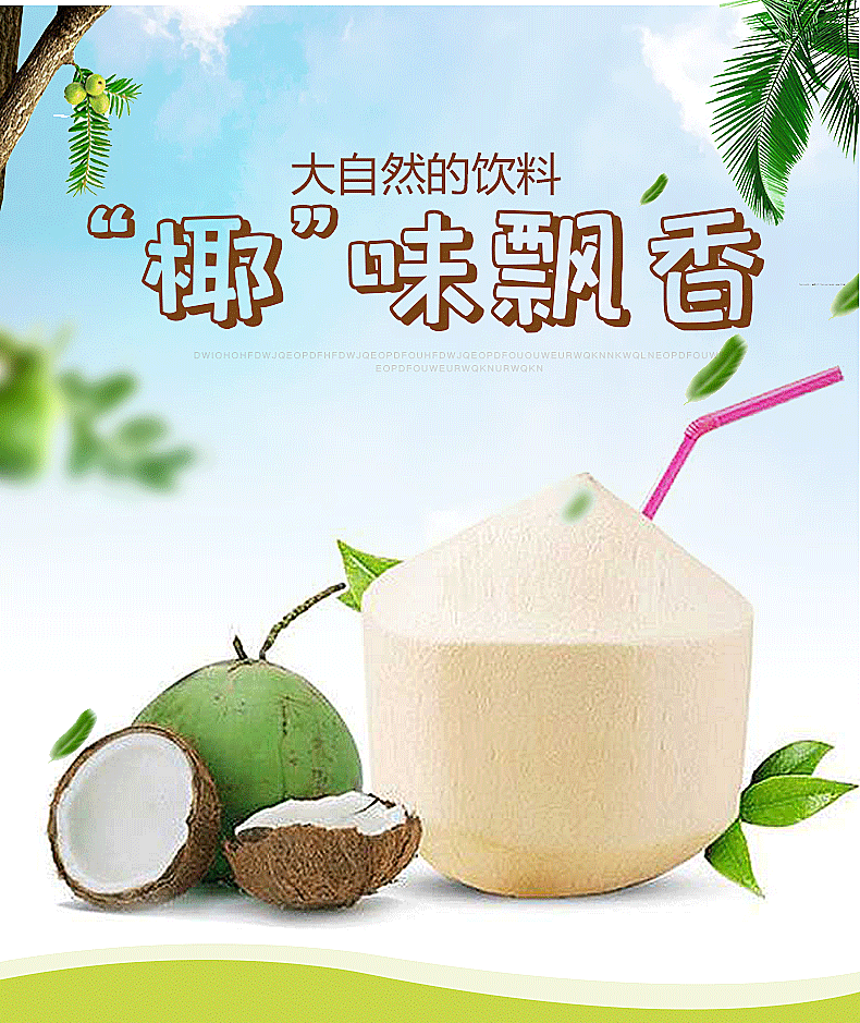 包邮文昌工厂直供海南椰子热带椰青9.6.4个装青椰甘甜爽口优选种-阿里
