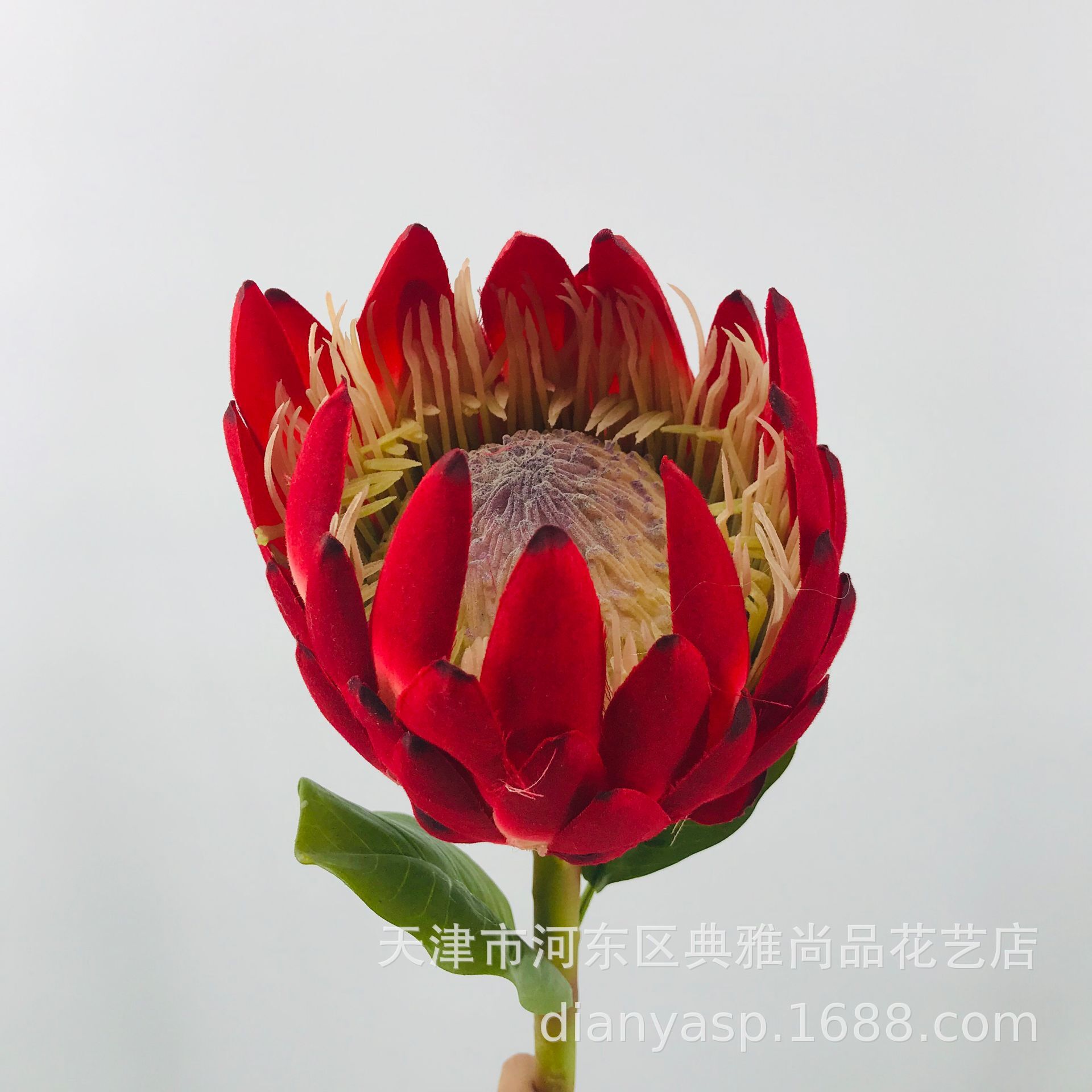 欧式仿真花批发绢花假花植物淘宝霸王花大帝王花