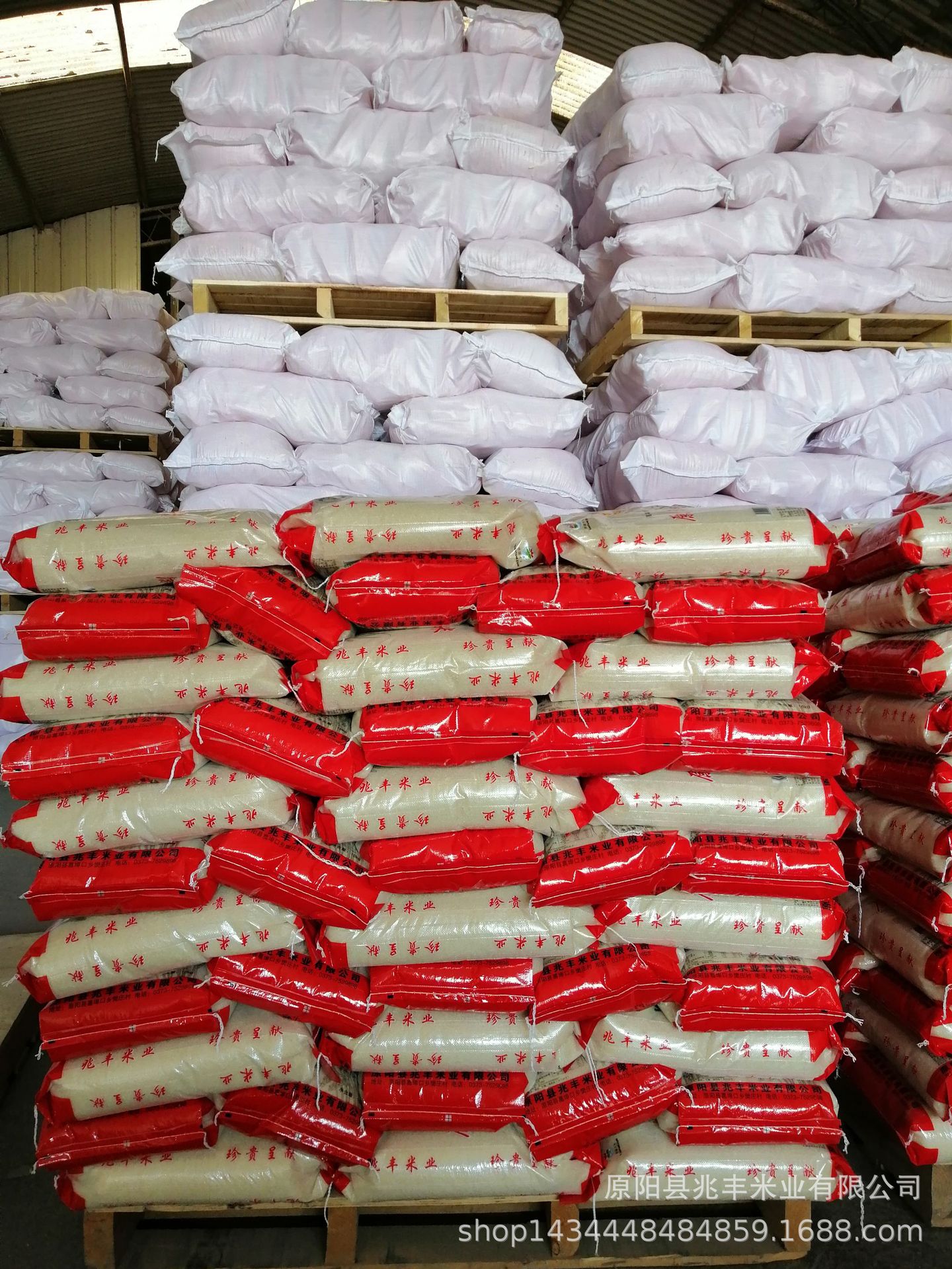 米厂直供大米10公斤原阳珍呈黄金晴大米量大从优厂价供应原阳大米