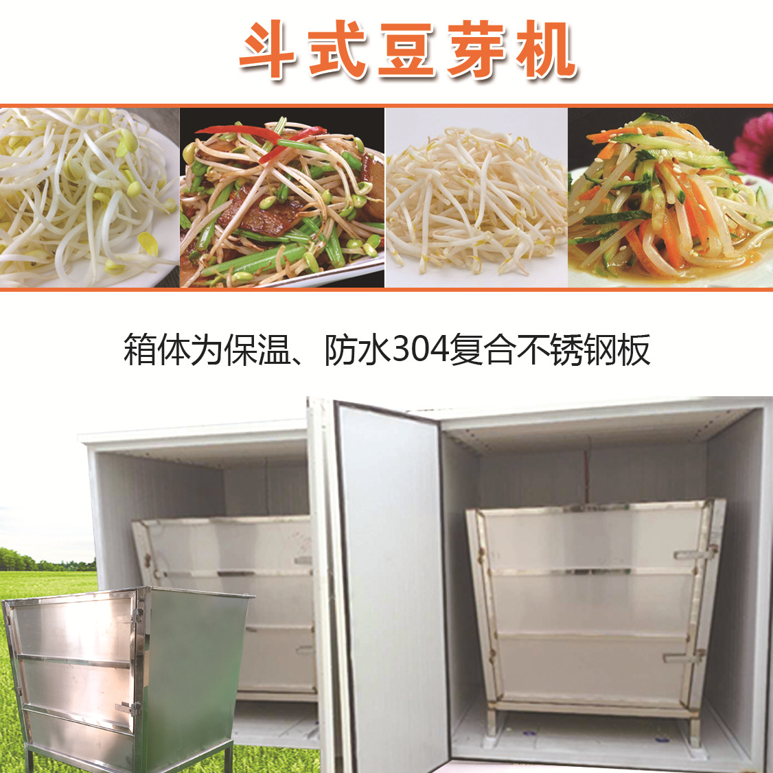 全自动豆芽机日产1000斤豆芽机自动化斗式豆芽机 厂家供应