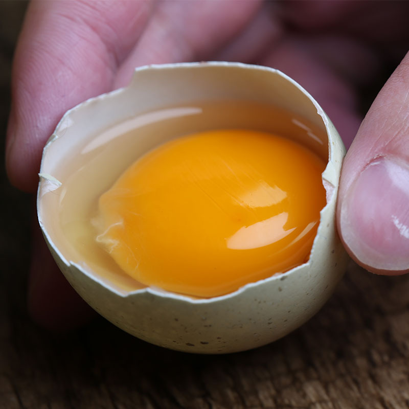 初生绿壳乌鸡蛋 白壳土鸡蛋 10枚30枚草鸡蛋农家散养新鲜鸡蛋