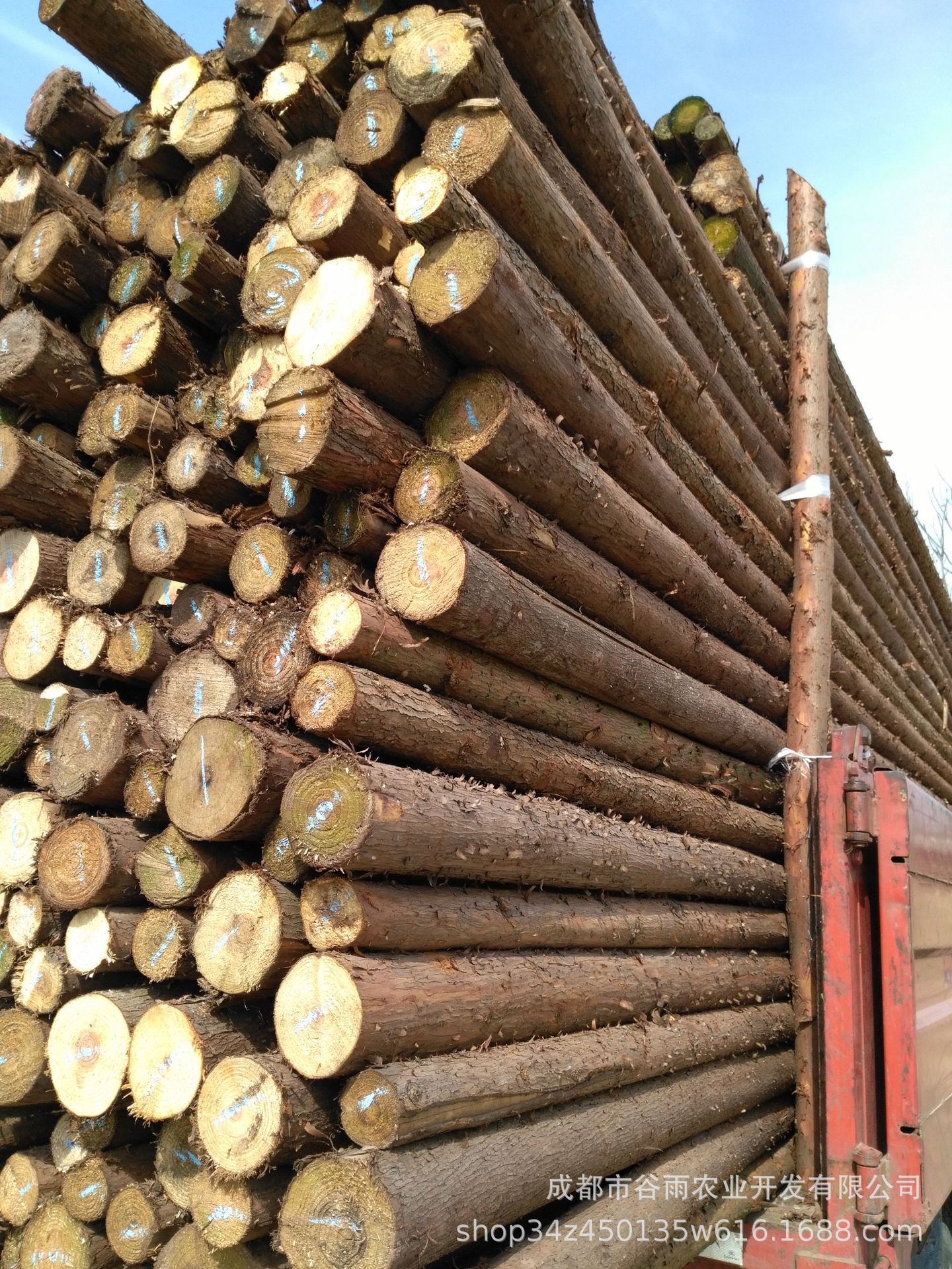 山场直供各种尺寸规格 园林绿化 杉木杆 绿化支撑杆 规格可定制