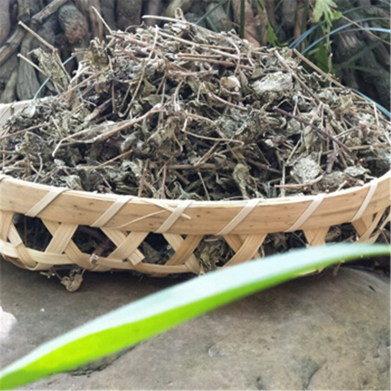 溪黄草 500g 溪黄草干 干溪黄