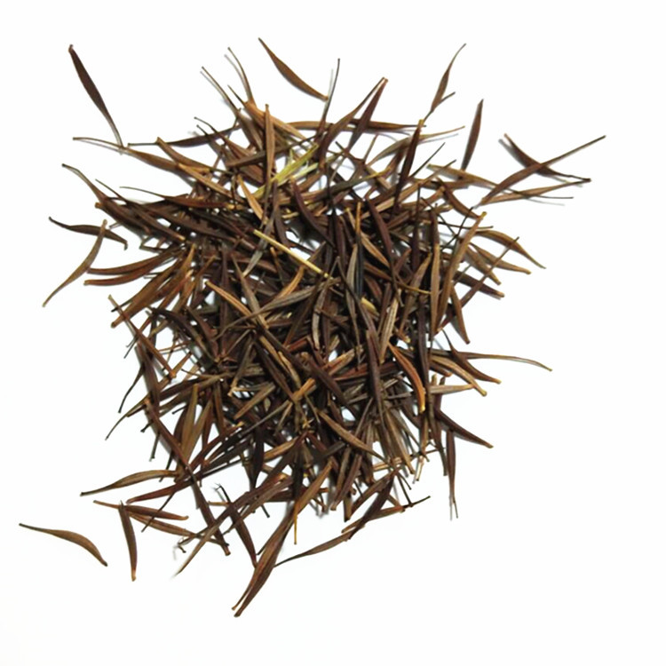 硫化菊种子黄波斯菊花种子黄秋英花籽大花百日草种子百日菊花种子