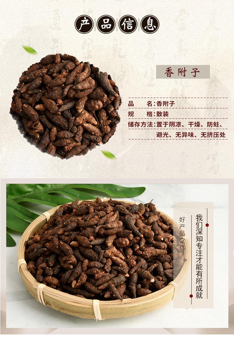 香附子 籽子药材香附子 香附承接大货 量大从优附子