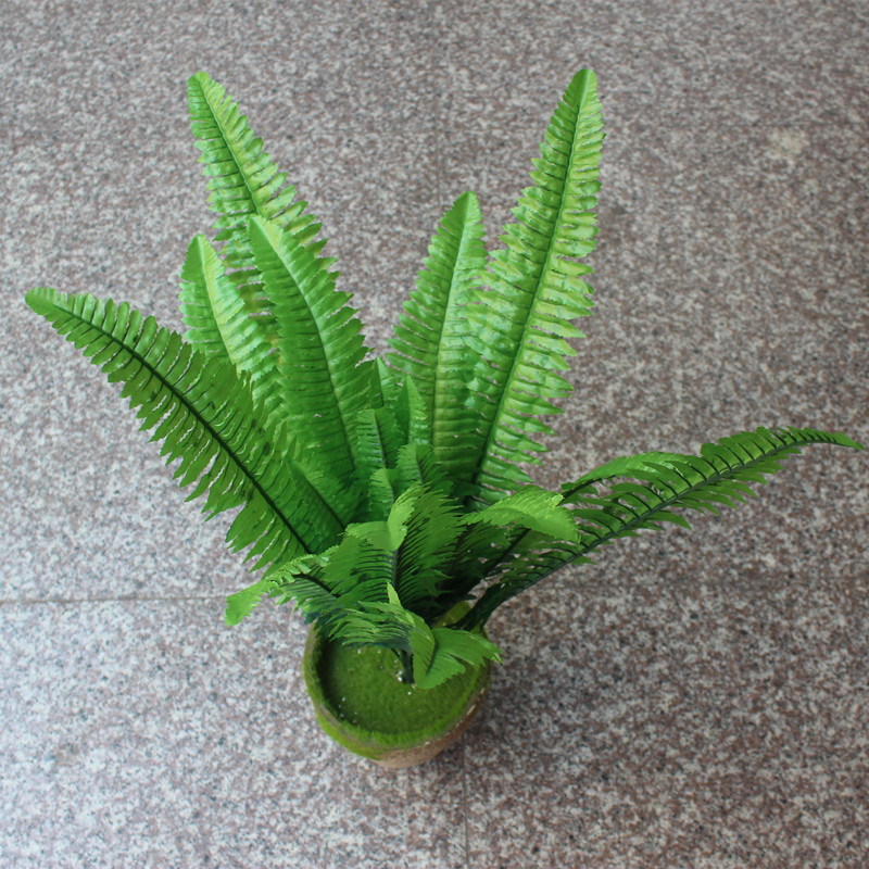 仿真植物墙绿植墙配材婚庆装饰叶子蕨类植物大波斯蕨草18头波斯叶