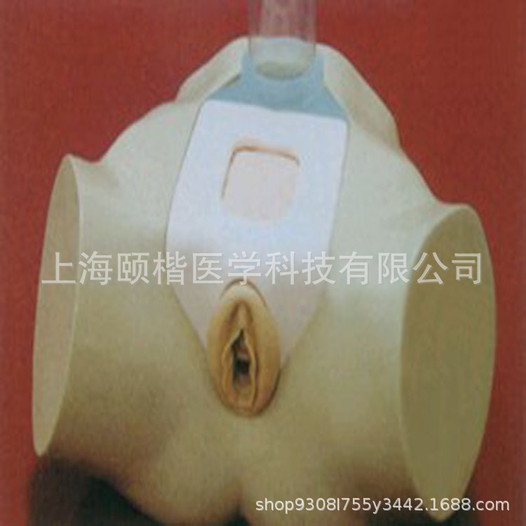 尿道具有生理性狭窄,导尿操作真实.