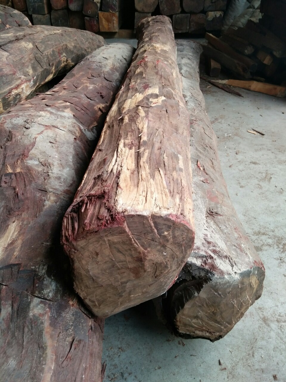 大量血檀 赞比亚血檀 非洲血檀 血檀原木 高油高密金星紫檀木材