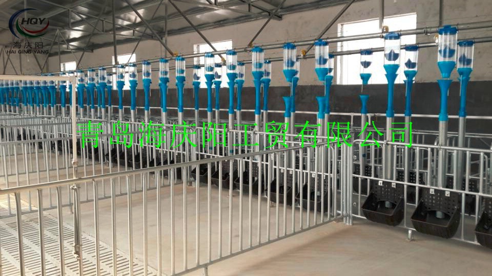 促销育肥栏 公猪栏 后备猪栏 定制各种畜牧养殖围栏 量大从优