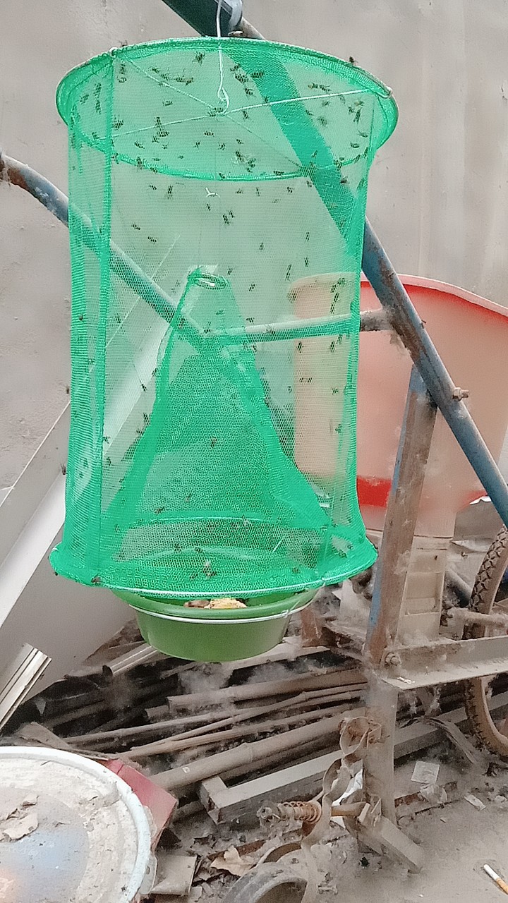 6个六个悬挂式苍蝇诱捕笼 灭蝇笼 捕蝇器 捕蝇网 诱捕苍蝇笼