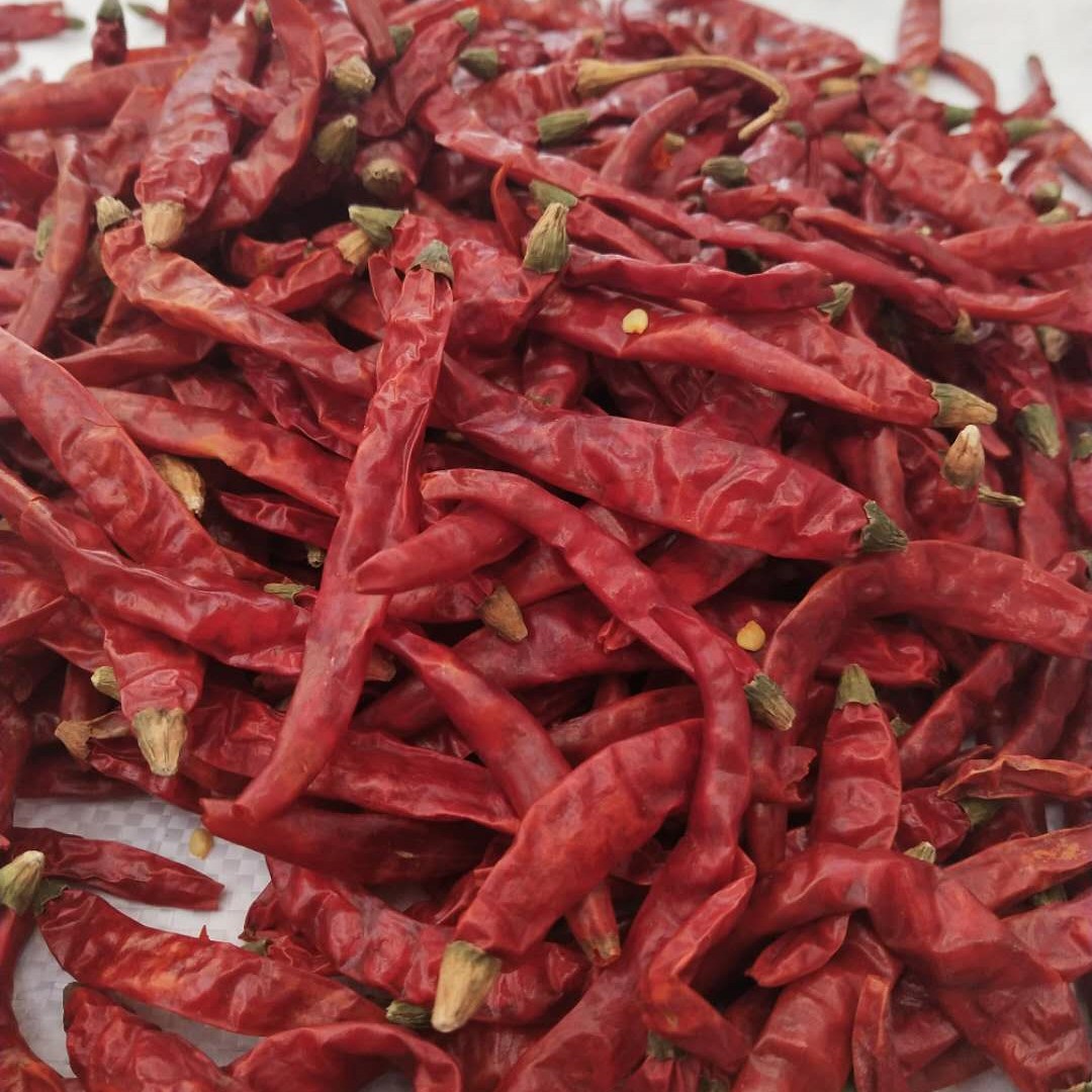 现货批发印度椒超辣海椒朝天椒魔鬼辣椒调味品干辣椒散1份500g