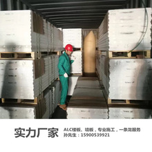 上海AAC板厂家送货安装蒸压加气板砌块隔墙轻质混凝土条板装配式