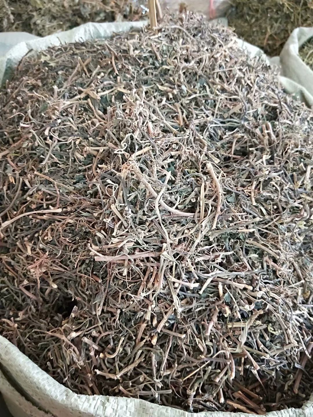 石油菜石花菜肥猪菜疳积草每件500克