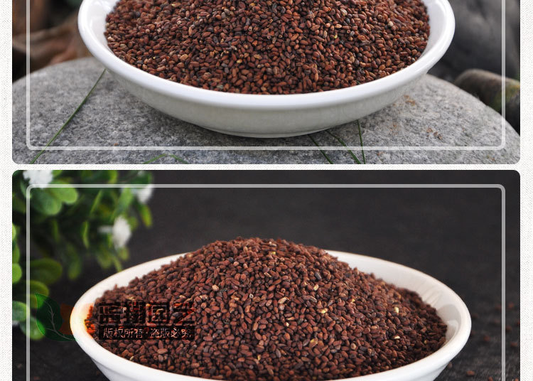 批发工程绿化草花组合花海观赏花籽蓝香芥种子欧亚香花芥园林景观