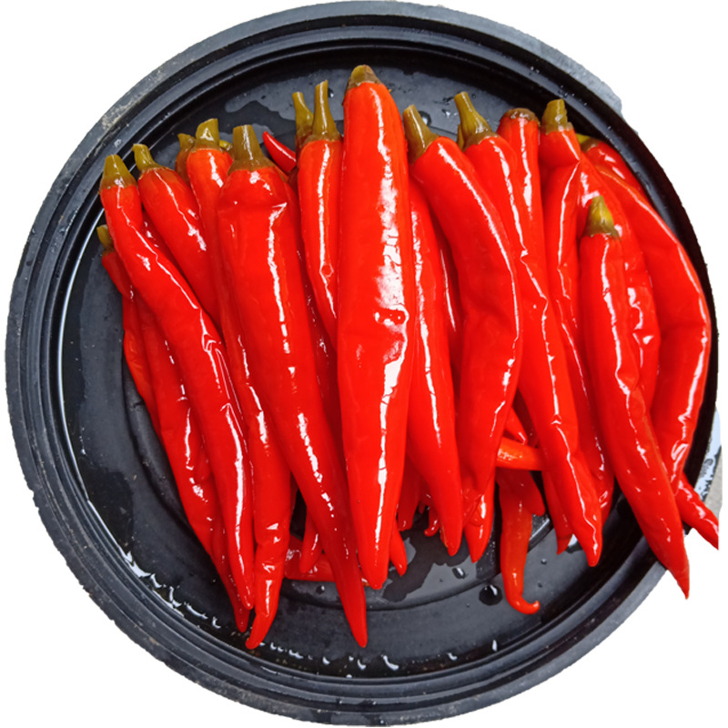 四川特产泡制老坛泡辣椒500克 农家泡菜红泡椒泡美人椒批发直销065