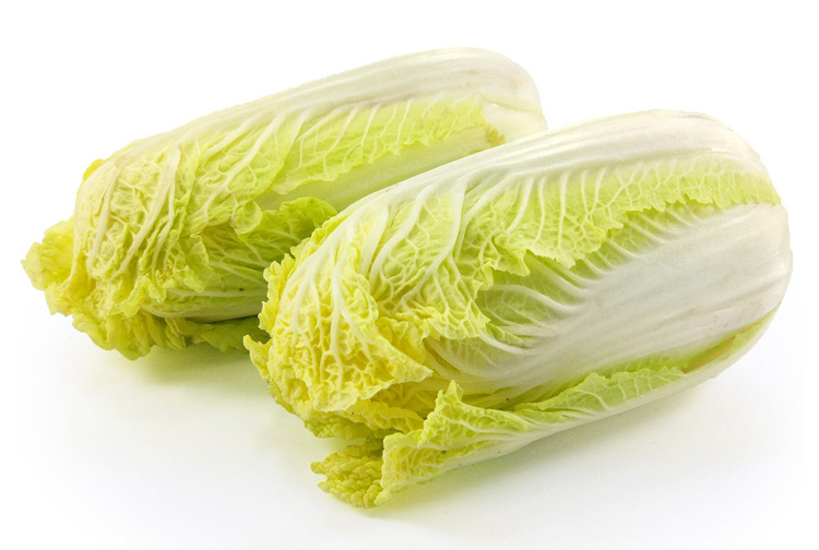 娃娃菜种孑黄芯黄叶籽小白菜种籽春秋四季蔬菜子菜种现在种的青菜