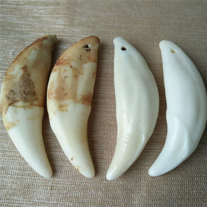 真藏獒犬牙狗牙狼牙双孔黑狗牙男士女吊坠地摊货源漂白项链手批发