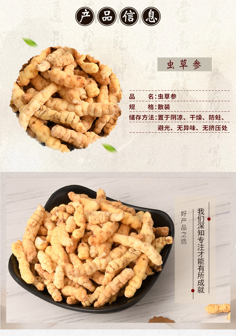 地蚕 虫草参 白虫草参 草石蚕 土冬虫草 肺痨草 产地货源