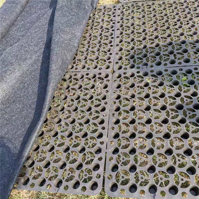 pe料蓄排水板屋顶花园种菜双面防阻根板滤水土工布楼顶绿化储水板