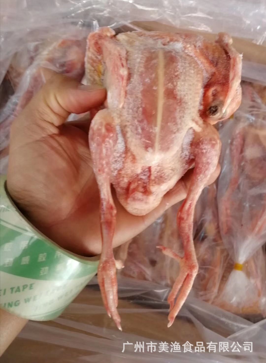 冷冻乳鸽 脆皮乳鸽 白条鸽子餐饮商用 土鸽子汤 5-9两/只 20只/箱