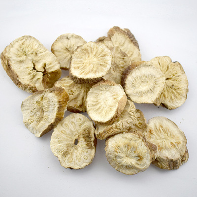 大货菊苣 菊苣根 辣根 菊苣根片 可按要求磨菊苣根粉l