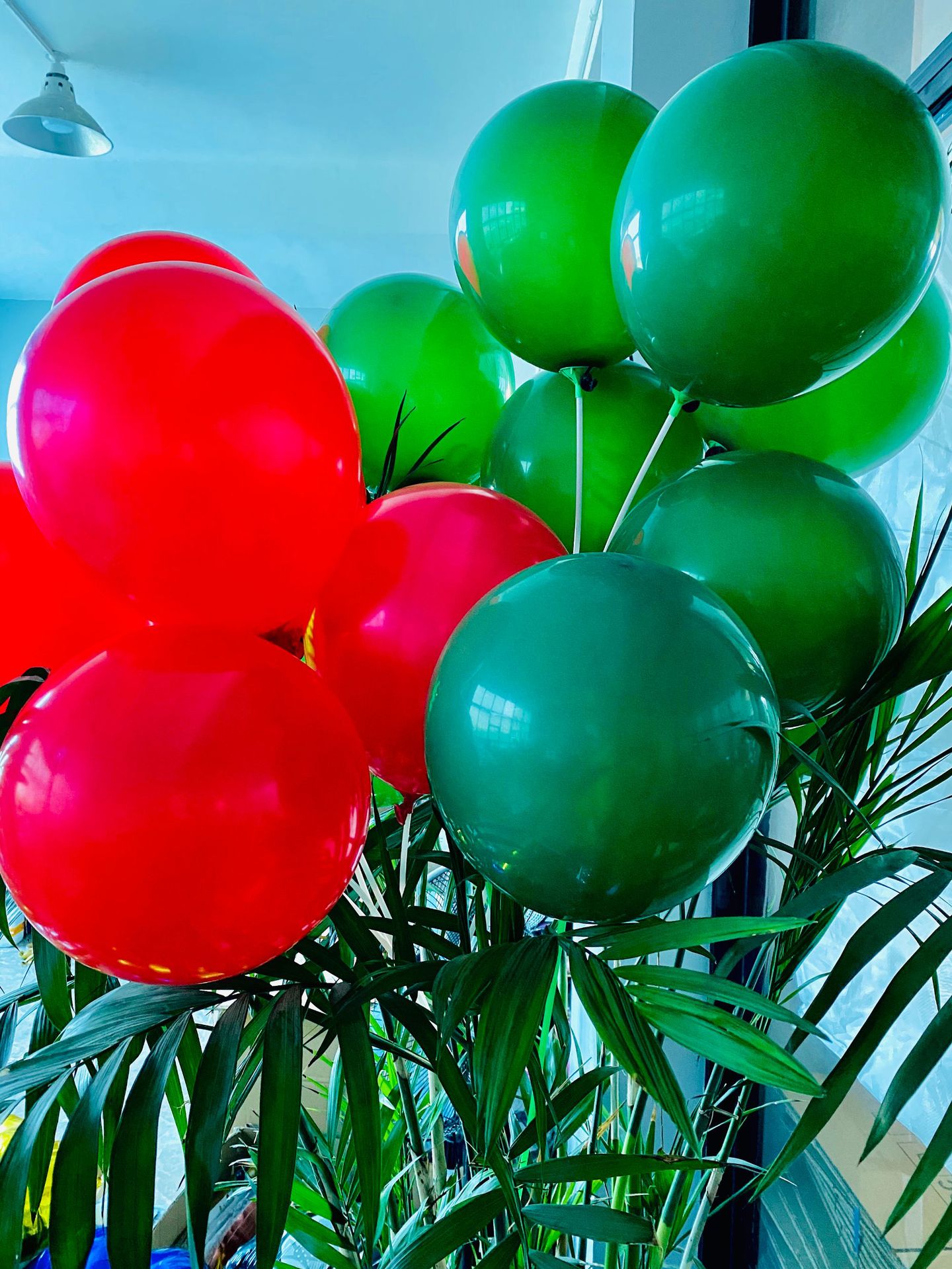 8g加厚圣诞纯红墨绿乳胶气球