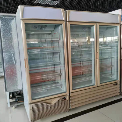 单门双门冷冻展示柜 商用冷冻食品冰柜 冰淇淋冷冻展示陈列柜