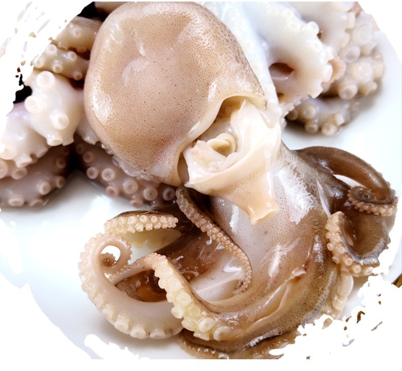 野生海捕八带鱼500克 新鲜冷冻八爪鱼爆头大章鱼速冻小章鱼批发