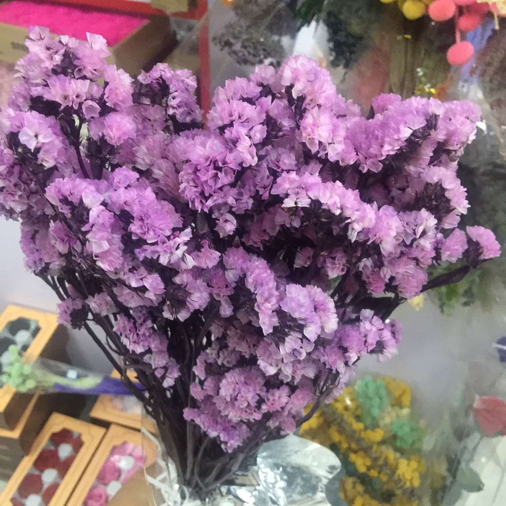 手工diy干花永生花勿忘我插花配材家居装饰配草干花干草勿忘我