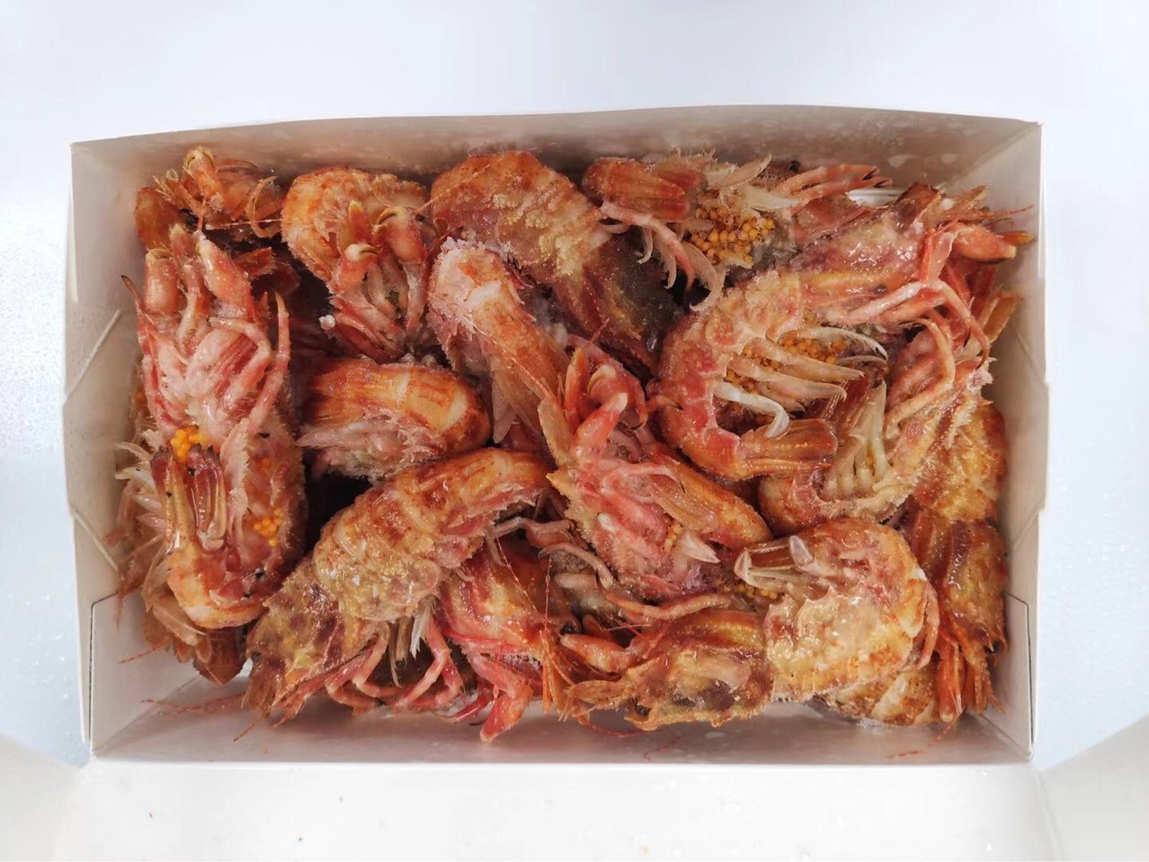 俄罗斯虾爬子,小熊虾,甲壳虾