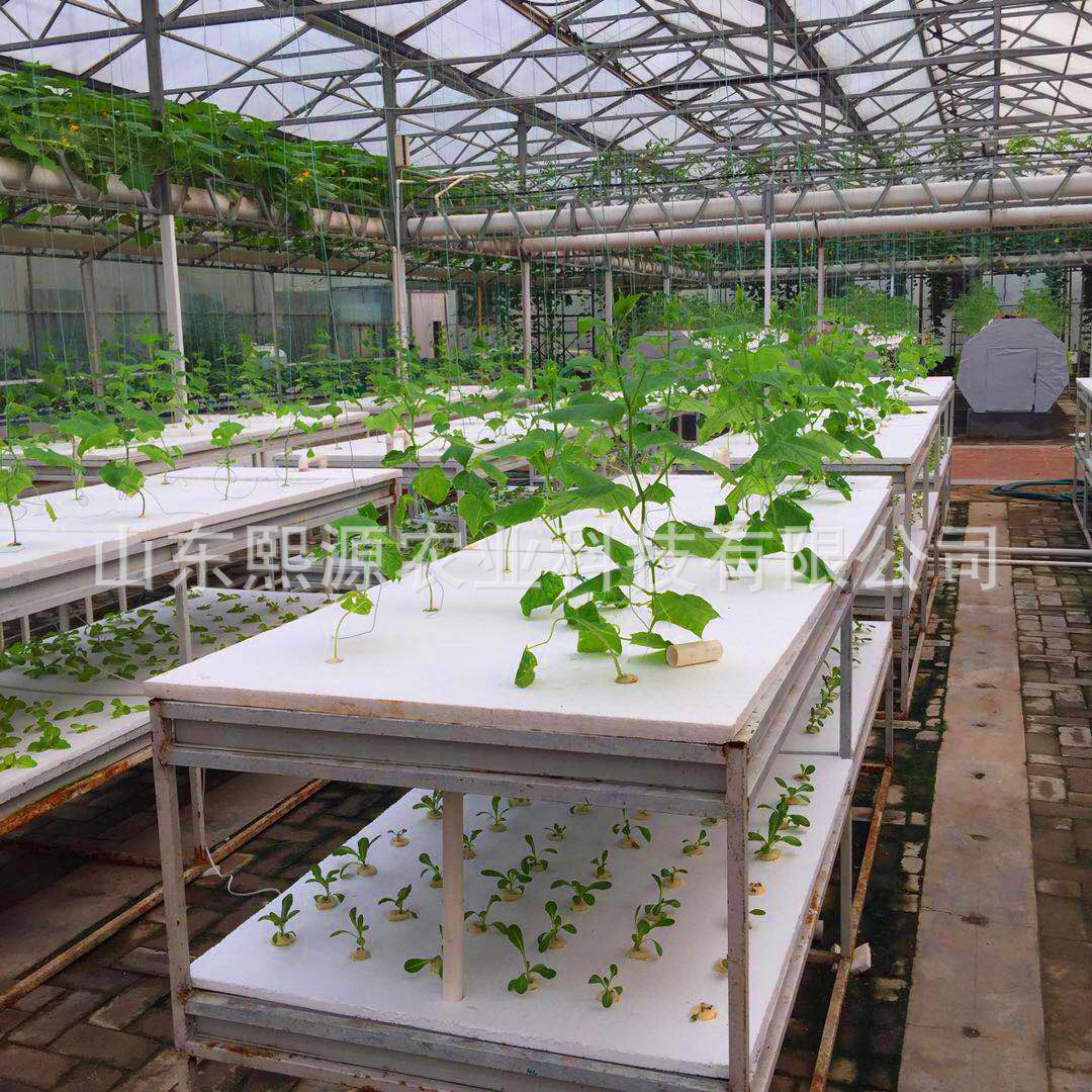 漂浮板水培 种植槽厂家 水培槽叶菜无土栽培 浅液流栽培 立体栽培