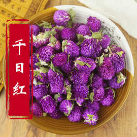 千日紫花草茶