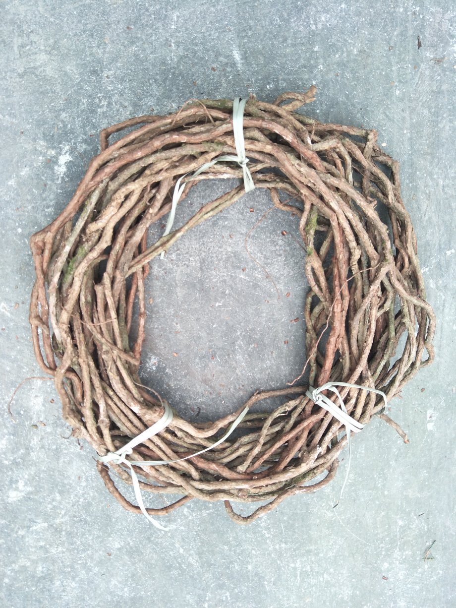 过江龙山藤植物真山藤条室内外装饰纯天然树藤藤蔓仿真大树生产