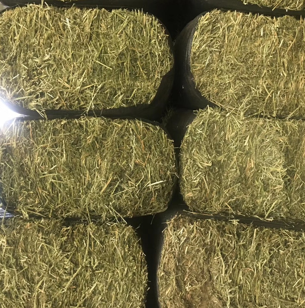 紫花苜蓿草_20192次加压苜蓿草捆 紫花苜蓿草牛牛草料动物园动物 - 阿