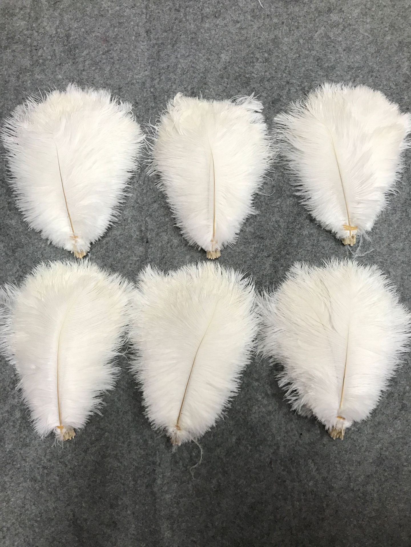 厂家直销 进口 鸵鸟毛20-25cm 羽毛辅料 婚庆羽毛 彩色鸵鸟毛