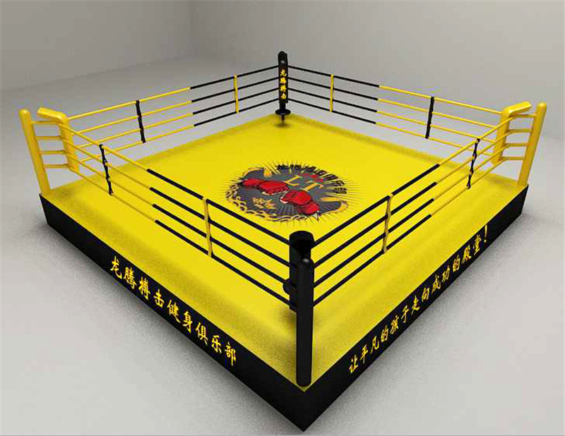 风行体育定制拳击擂台比赛标准落地拳台散打跆拳武术擂台规格多样