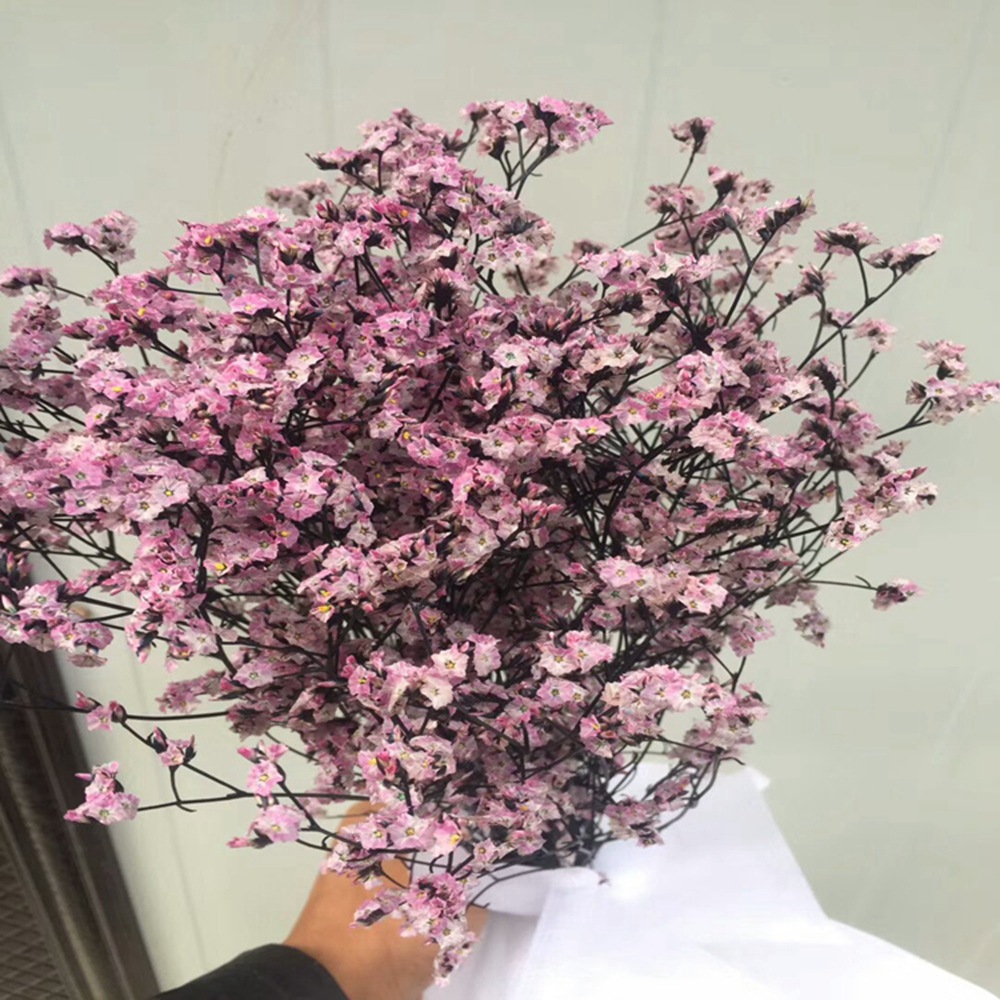 云南花卉市场批发天然永生花干花花束水晶草客厅装饰彩色水晶花